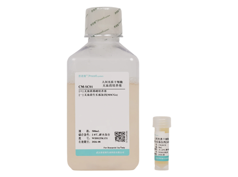 Human Mesenchymal Stem Cells (hMSCs) Serum-Free Medium-searchlist-1