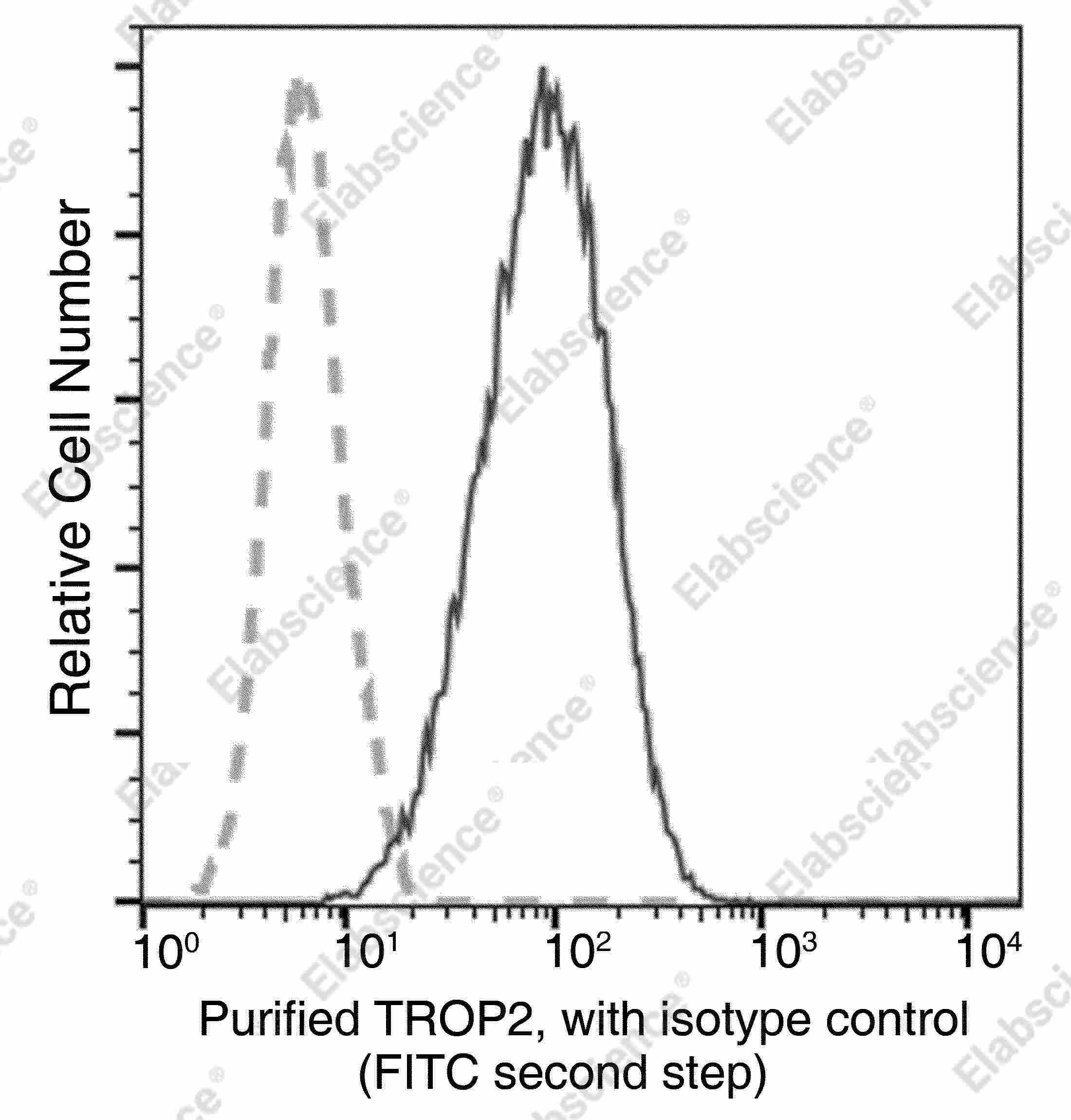 TROP2/TACSTD2 Monoclonal Antibody - 11