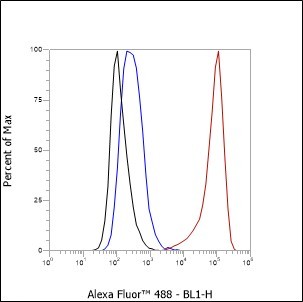 Recombinant IL-12 Monoclonal Antibody - small - 2