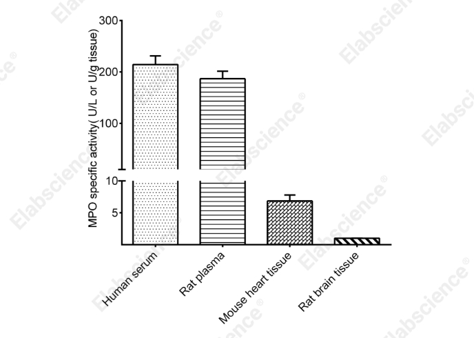 Myeloperoxidase (MPO) Activity Assay Kit - 1