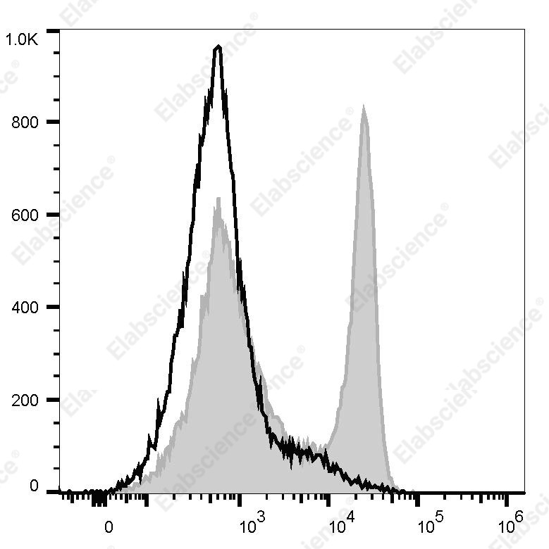 Elab Fluor<sup>&reg;</sup>488 Anti-Rat TCR α/β Antibody[R73] - 1