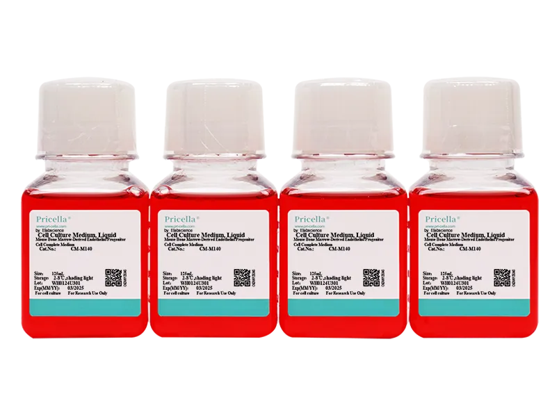 Mouse Bone Marrow-Derived Endothelial Progenitor Cell Complete Medium - 4