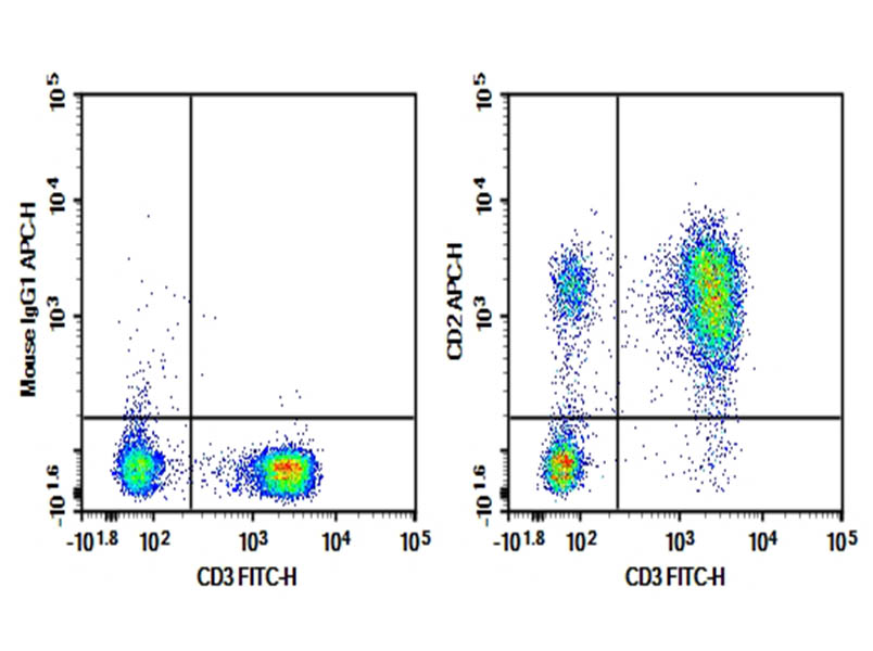 AF/LE Purified Anti-Human CD2 Antibody[TS1/8]-searchlist-1