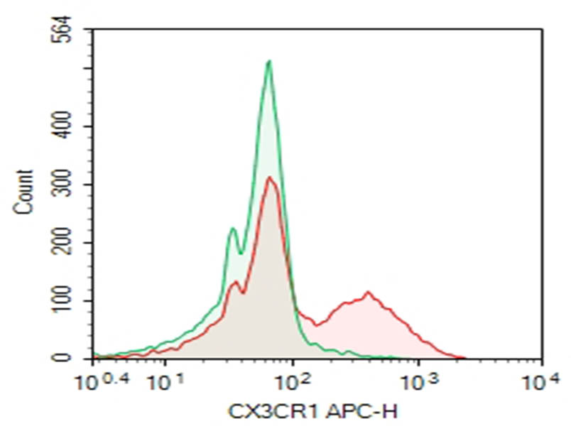Human peripheral blood lymphocytes were stained with 0.2 ug Purified Anti-Human CX3CR1 Antibody[2A9-1] (Right) and 0.2 ug Rat IgG2b, &kappa; Isotype Control (Left), followed by APC-conjugated Goat Anti-Rat IgG Secondary Antibody.