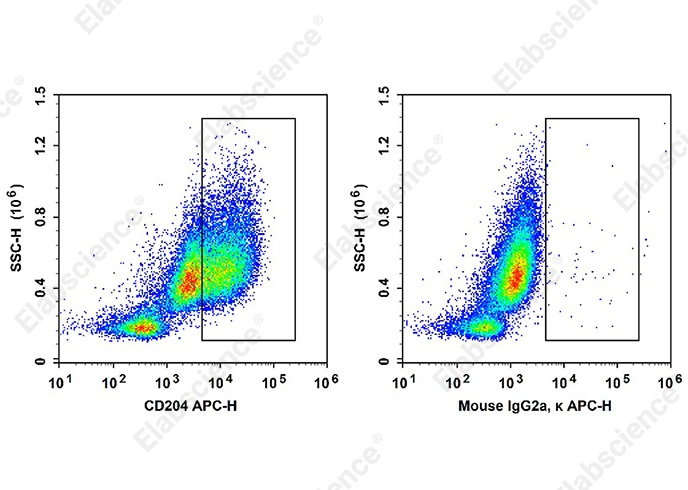 APC Anti-Human CD204 Antibody[7C9C20]-searchlist-1