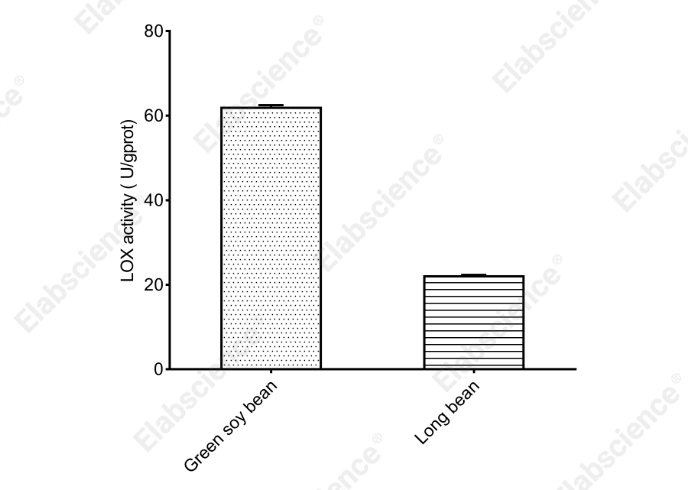 Lipoxygenase (LOX) Activity Assay Kit - 1