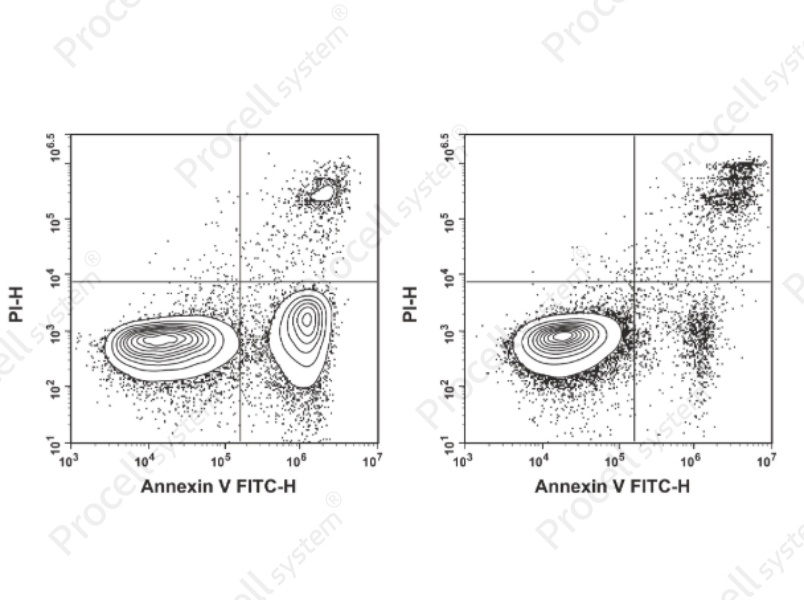 Annexin V-FITC/PI Apoptosis Kit