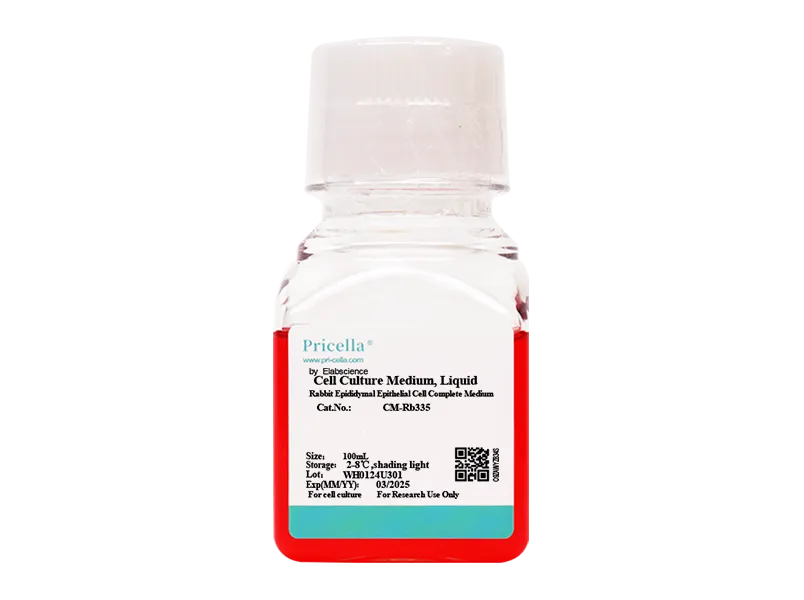 Rabbit Epididymal Epithelial Cell Complete Medium-searchlist-1