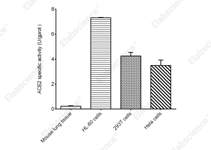 Angiotensin I Converting Enzyme 2（ACE2）Activity Fluorescence Assay Kit - 2