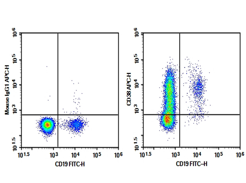 Purified Anti-Human CD38 Antibody[HB-7]-1