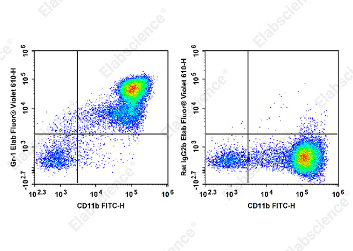 Purified Anti-Human IFN-γ Antibody[4S.B3]-产品推荐-1