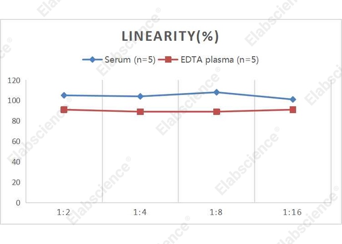 QuicKey Pro Human TG (Thyroglobulin) ELISA Kit - 2