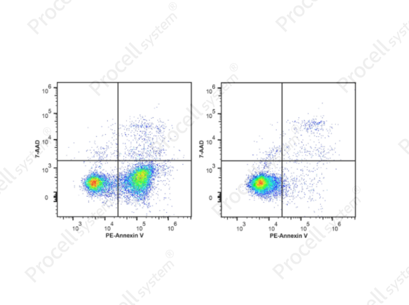 Annexin V-PE/7-AAD Apoptosis KitAnnexin V-PE/7-AAD Apoptosis Kit - 1
