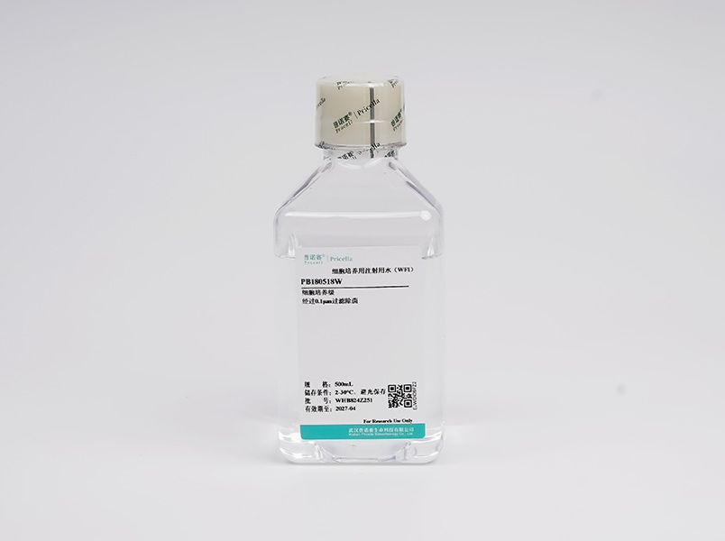 https://789.bio/ec/d5xD8O