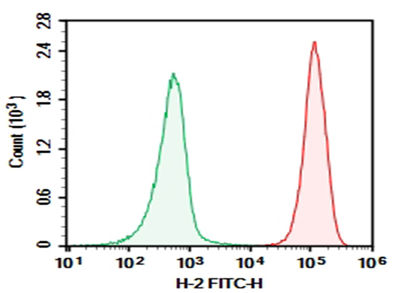 AF/LE Purified Anti-Mouse H-2 Antibody[M1/42]-1