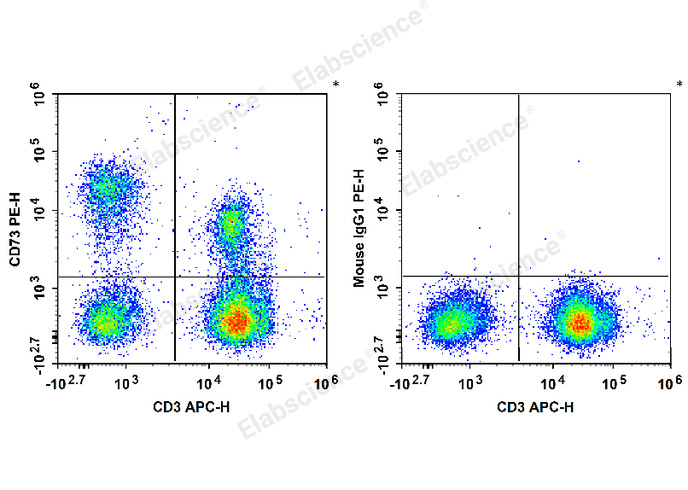PE Anti-Human CD73 Antibody[AD2]-1