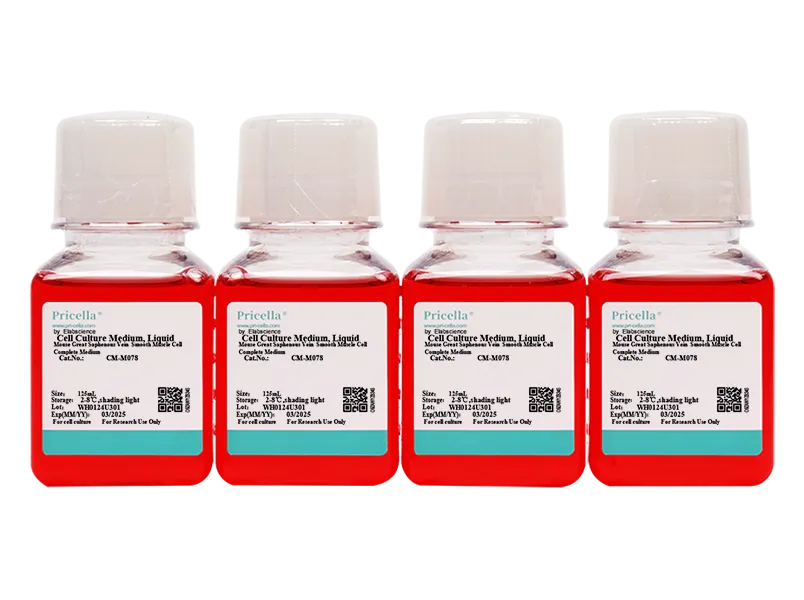 Mouse Great Saphenous Vein  Smooth Muscle Cell Complete Medium - small - 2