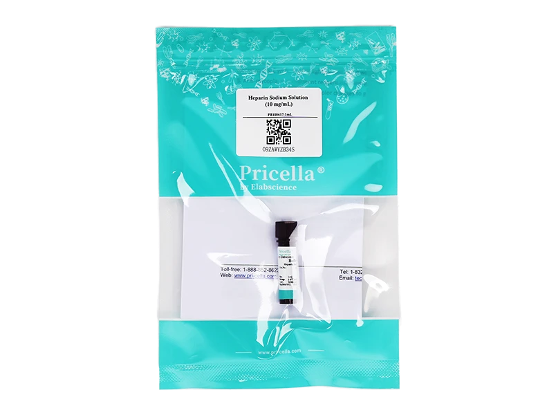 https://789.bio/ec/dDpS8K