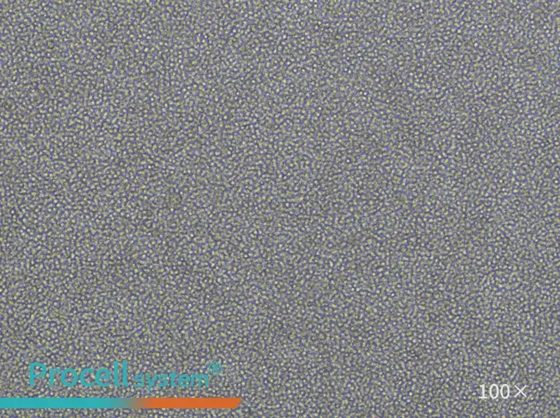 Daudi Cell Complete MediumDaudi Cell Complete Medium - 2