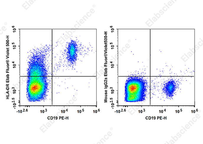 Elab Fluor® Violet 500 Anti-Human HLA-DR Antibody[L243]-1