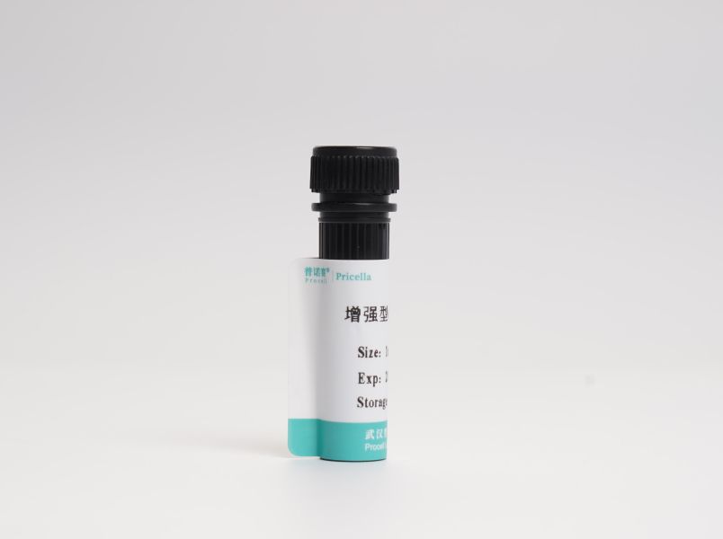 https://789.bio/ec/dHV9O4