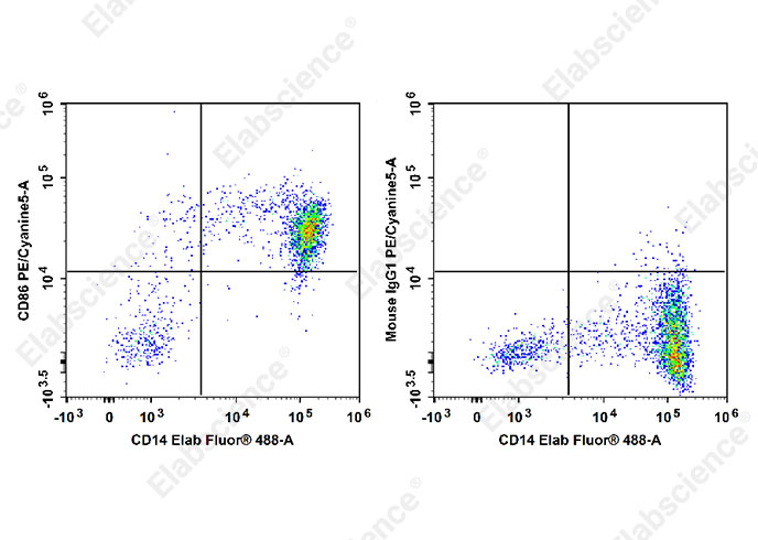 PE/Cyanine5 Anti-Human CD86 Antibody[BU63]-1