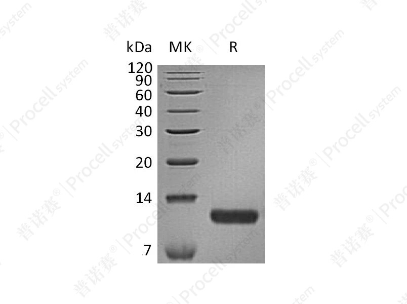 https://789.bio/ec/dLCVq9