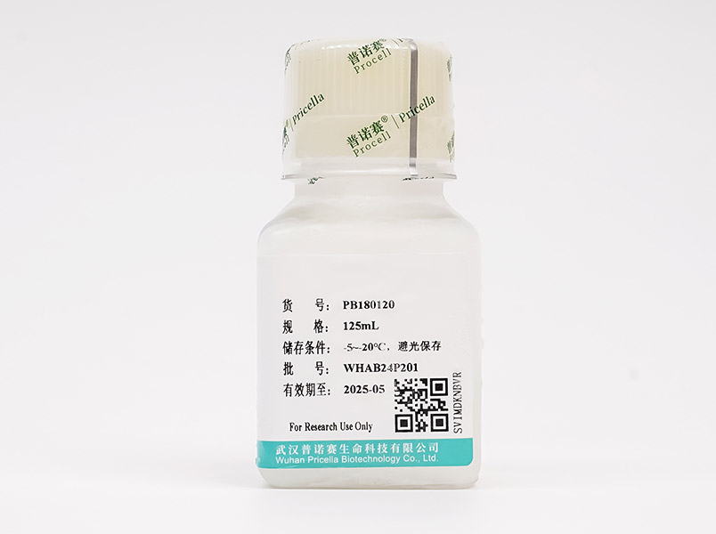 https://789.bio/ec/dLximD