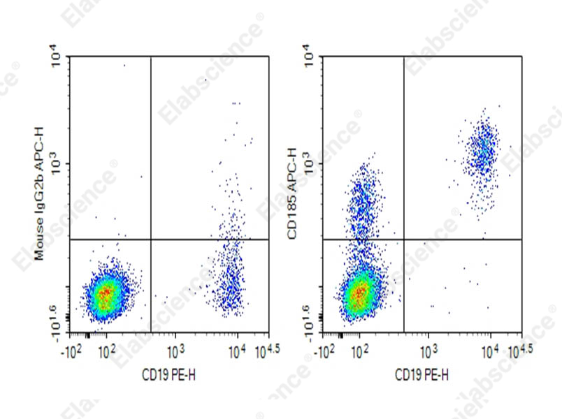 Purified Anti-Human CD185 Antibody[DA016] - 1