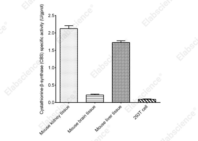 Cystathionine-β-synthase (CBS) Activity Colorimetric Assay Kit - 1