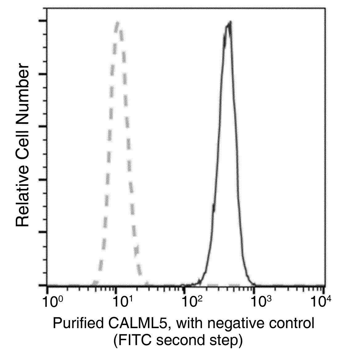 Recombinant CALML5 Monoclonal Antibody - small - 1