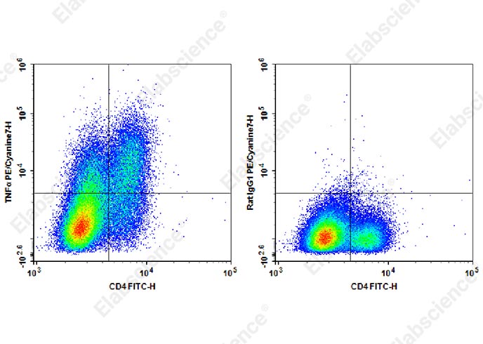 PE/Cyanine7 Anti-Mouse TNFα Antibody[XT3.11]-1
