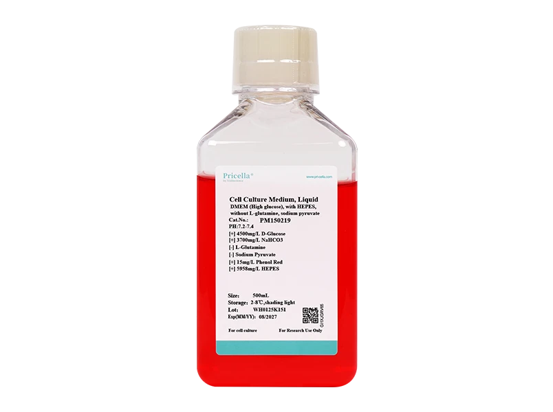 DMEM (High glucose), with HEPES, without L-glutamine, sodium pyruvate - small - 1