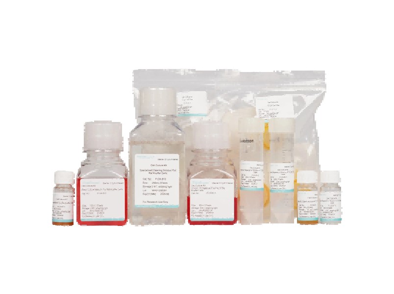Rat Kupffer Cell Isolation and Culture Kit - 1