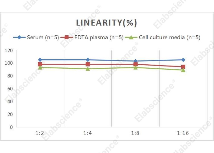Mini Sample Human IFN-γ (Interferon Gamma) ELISA Kit - 2