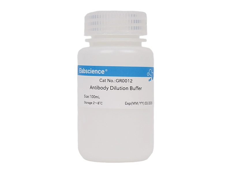 Antibody Dilution Buffer