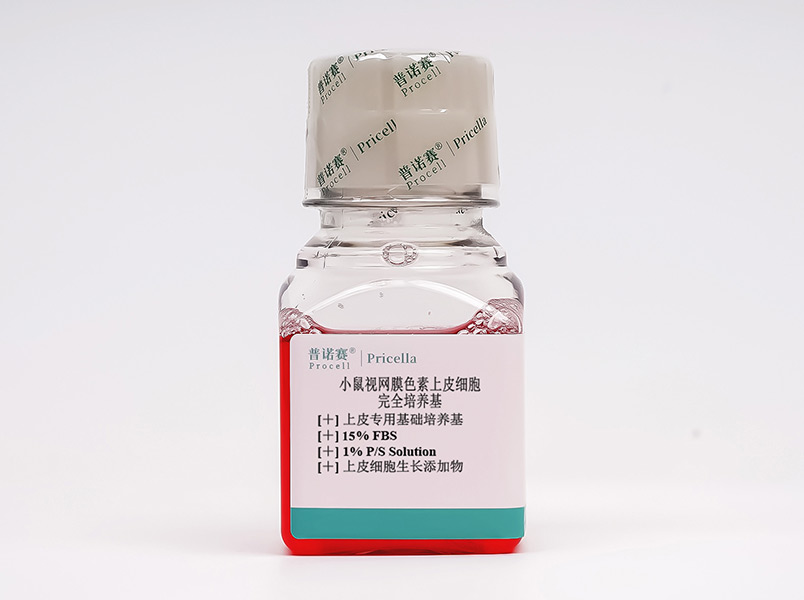 https://789.bio/ec/daPlPO