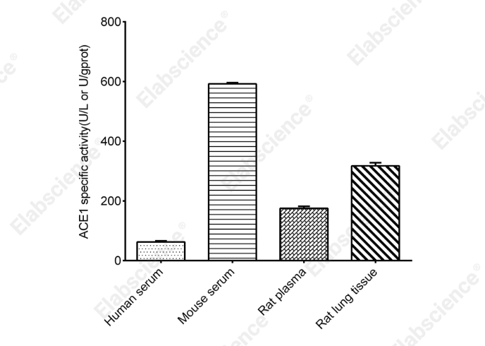 Angiotensin Converting Enzyme (ACE1)  Activity Assay Kit - 1