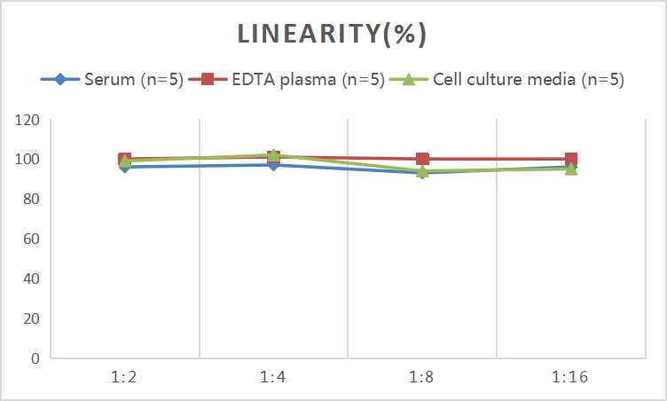 Mouse MPO (Myeloperoxidase) ELISA Kit - small - 2