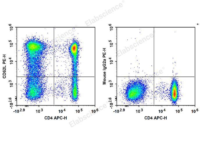 PE Anti-Human CD62L Antibody[HI62L]-1