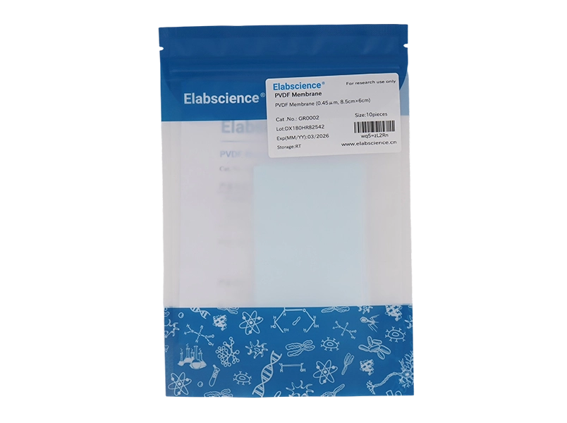 PVDF Membrane (0.45 μm)