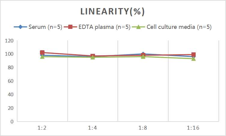 Mini Sample Human GAL3 (Galectin 3) ELISA Kit - small - 2