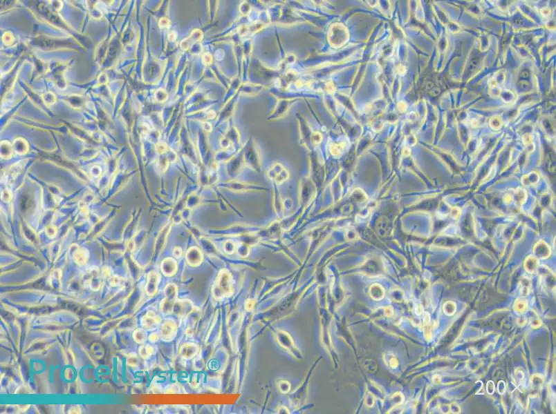 LA795 Cell Complete Medium - small - 5