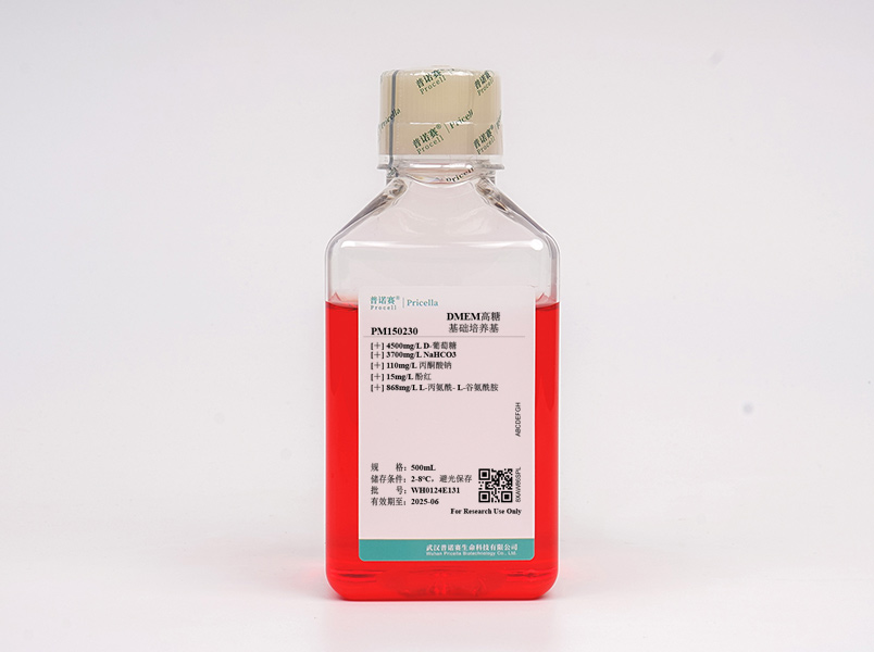 https://789.bio/ec/dmDRRO