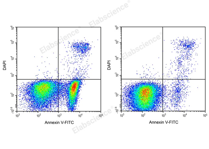 Annexin V-FITC/DAPI Apoptosis Kit-1