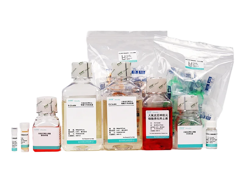 https://789.bio/ec/dmqPZS