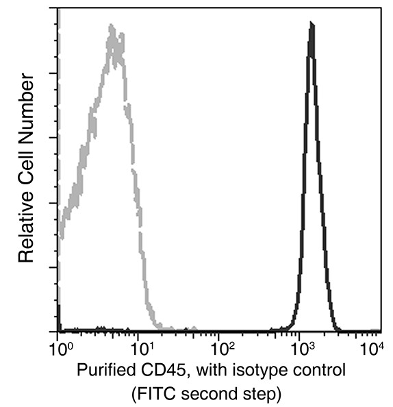 CD45/PTPRC Monoclonal Antibody-searchlist-1