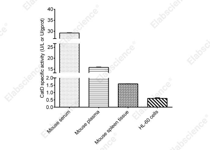 Cathepsin D (CatD) Activity Fluorometric Assay Kit - 2