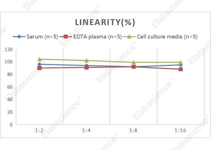 Mini Sample Human VEGF165 (Vascular Endothelial Growth Factor 165) ELISA Kit - 2