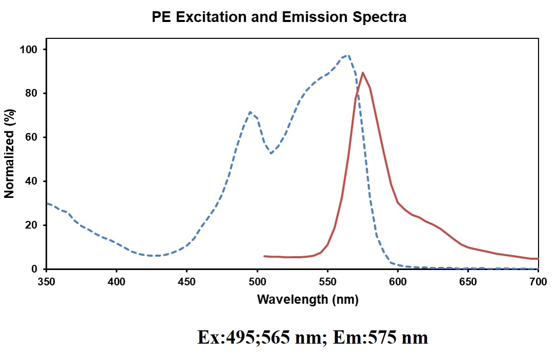 PE Anti-Human CD180 Antibody[G28-8]